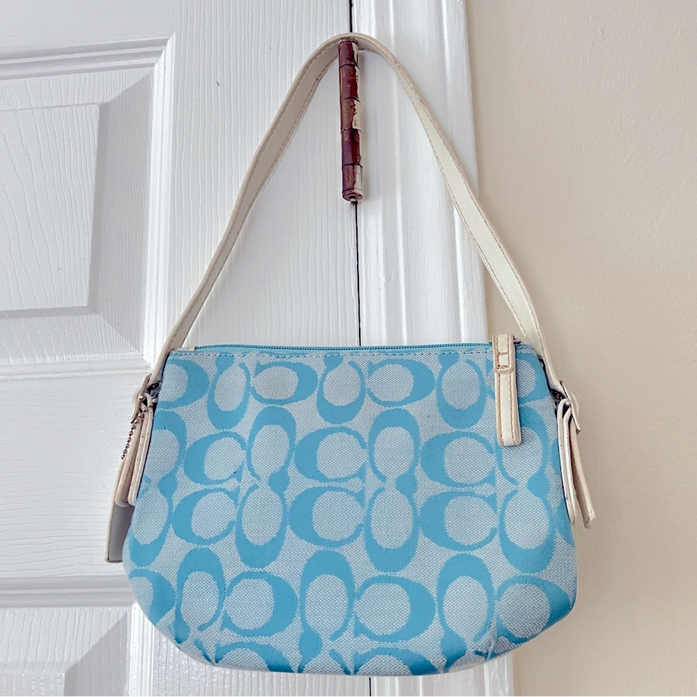 baby blue coach purse